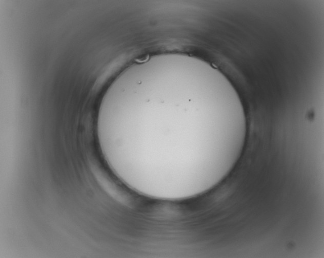 X0000113930250200910161858