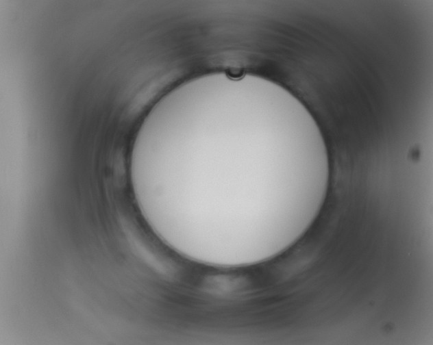 X0000113930251200910161858