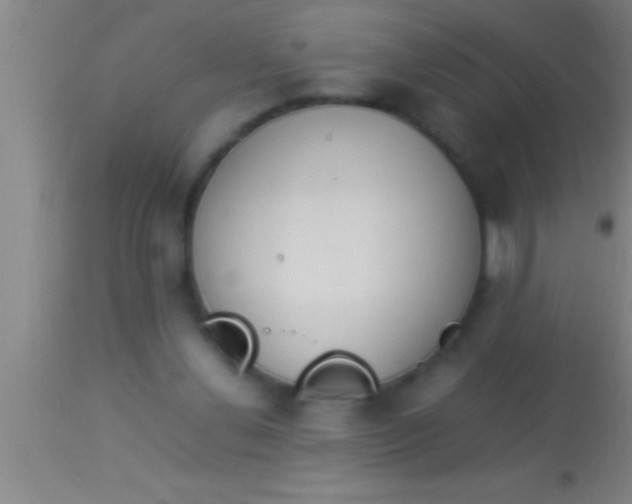X0000113930252200910161858