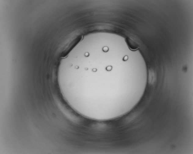 X0000113930253200910161858