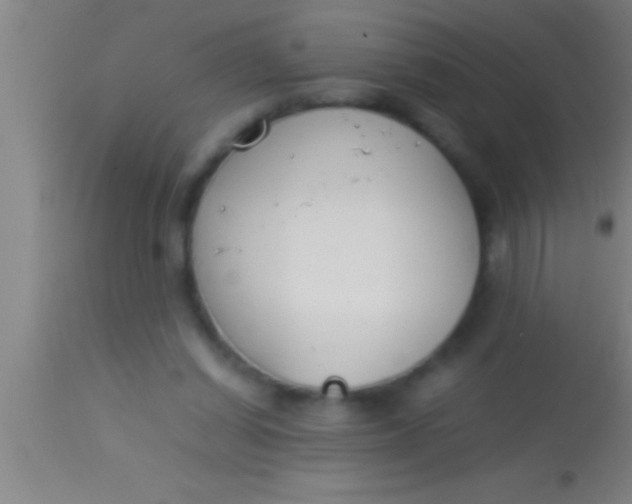 X0000113930254200910161858