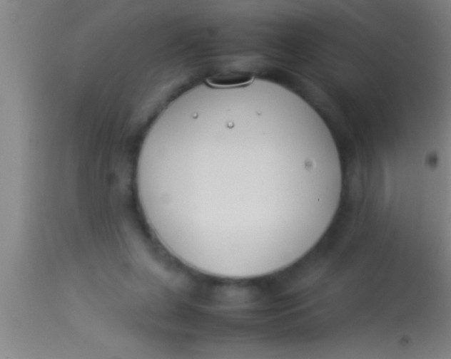 X0000113930255200910161858