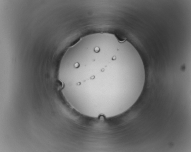 X0000113930258200910161858