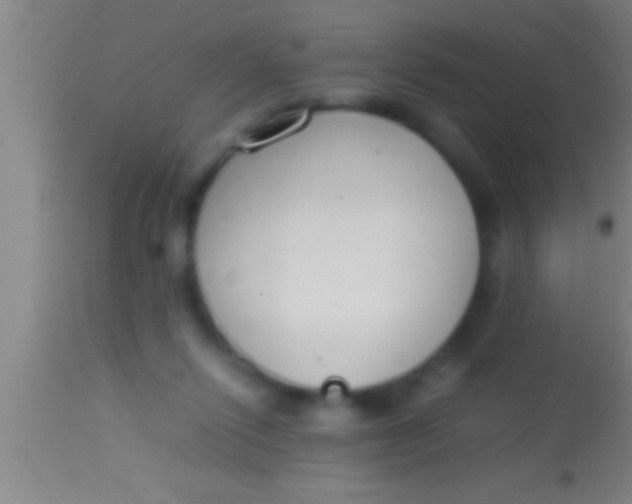 X0000113930262200910161858