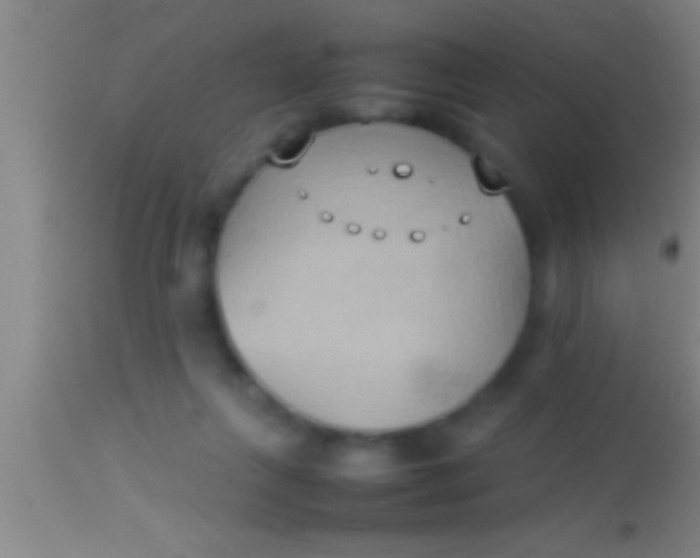 X0000113930263200910161858