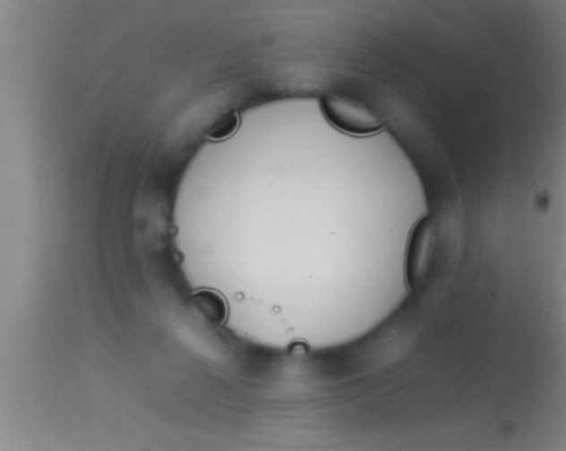 X0000113930264200910161858