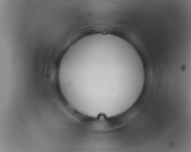 X0000113930266200910161858