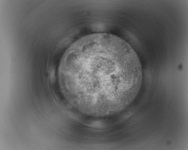 X0000113930267200910161858