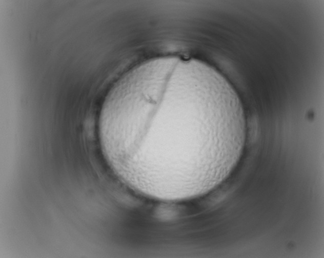 X0000113930269200910161858