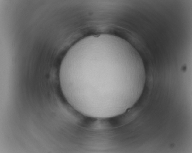 X0000113930270200910161858