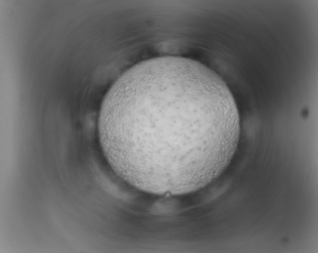 X0000113930271200910161858