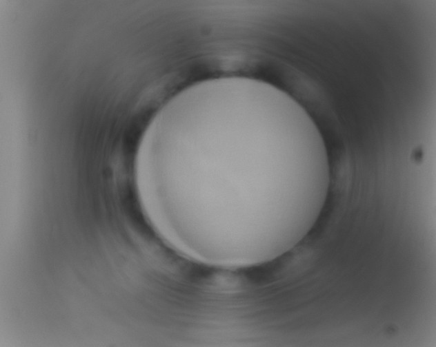 X0000113930272200910161858