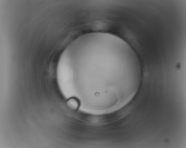 X0000113930273200910161858