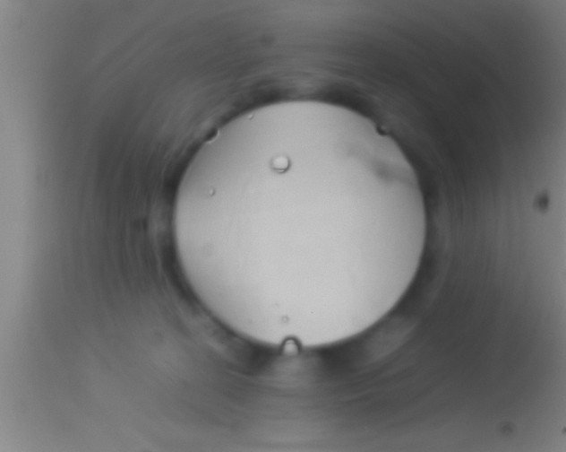 X0000113930274200910161858