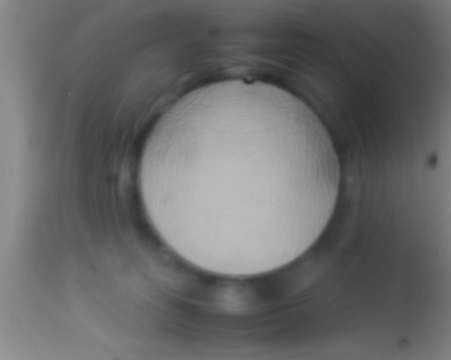 X0000113930275200910161858