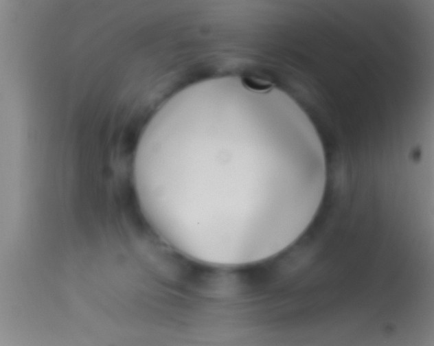 X0000113930276200910161858