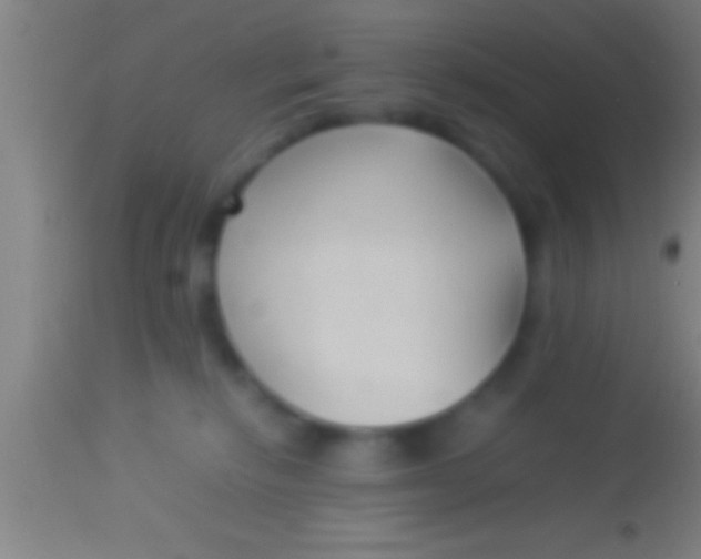 X0000113930278200910161858