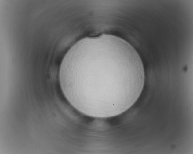 X0000113930280200910161858