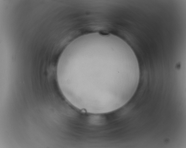 X0000113930281200910161858