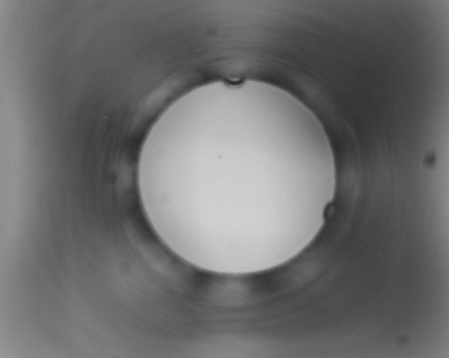X0000113930282200910161858