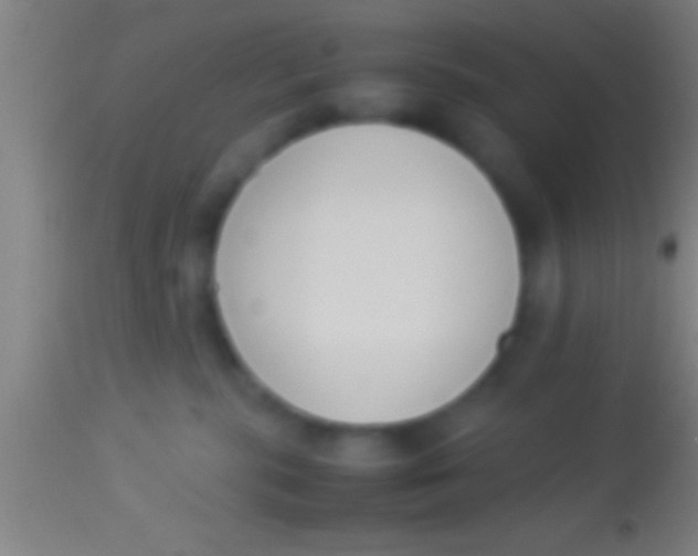 X0000113930283200910161859