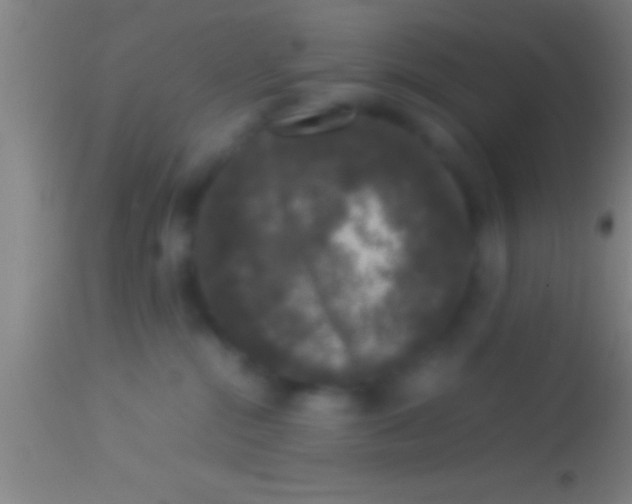 X0000113930284200910161859
