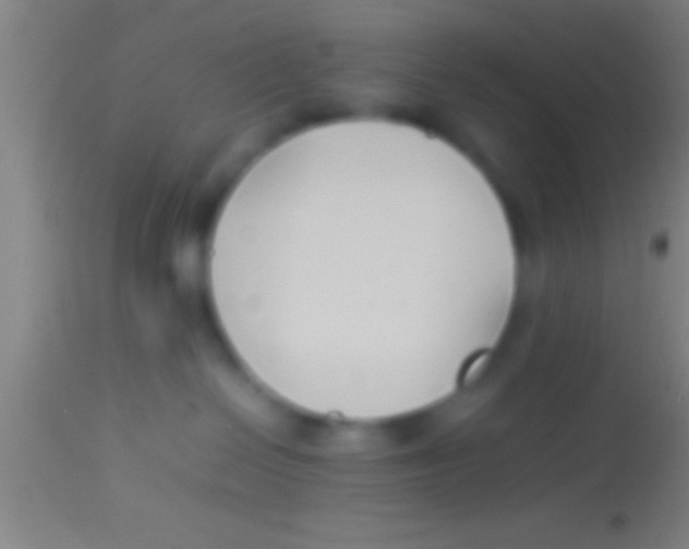 X0000113930286200910161859
