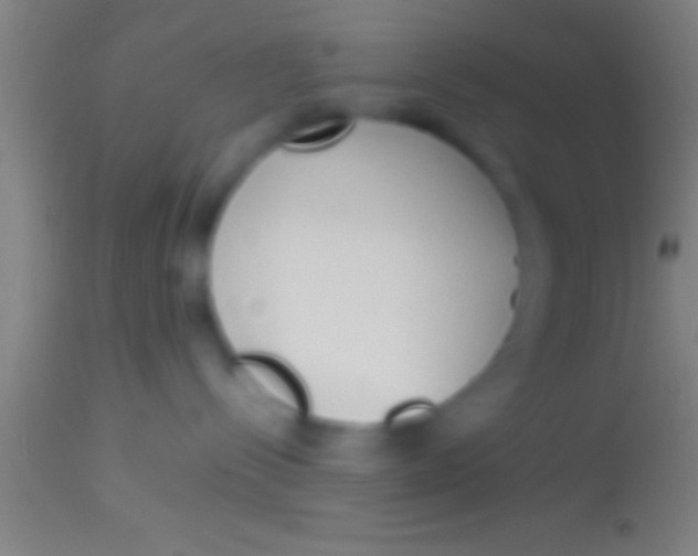 X0000113930288200910161859