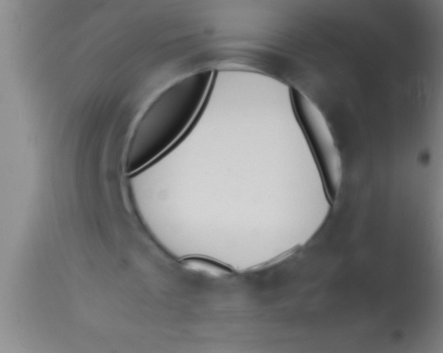 X0000113930289200910161858