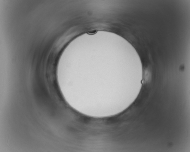 X0000113930291200910161858