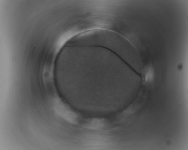 X0000113930292200910161858