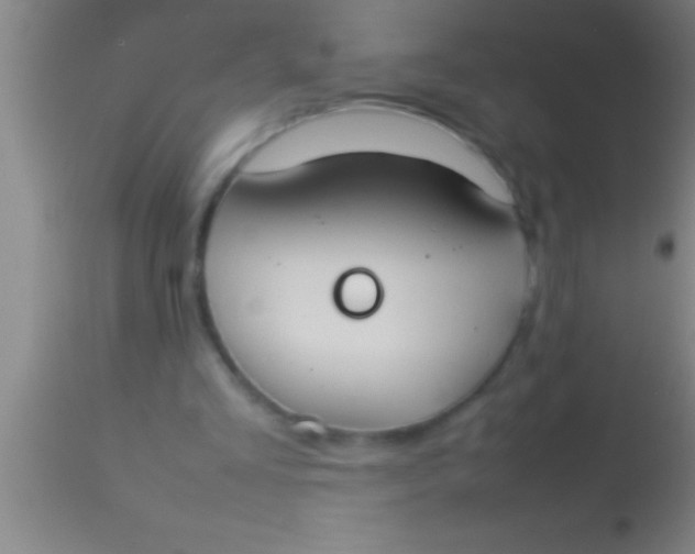 X0000113930293200910161858