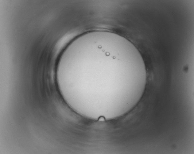 X0000113930294200910161858