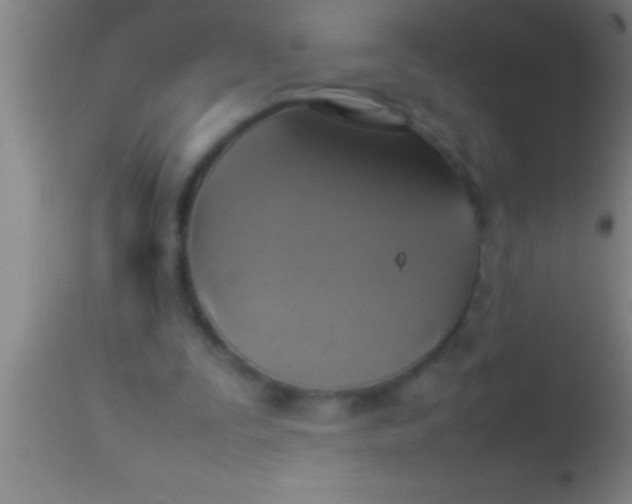 X0000113930295200910161858