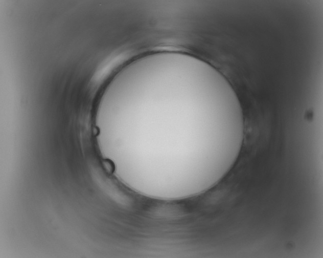 X0000113930296200910161858