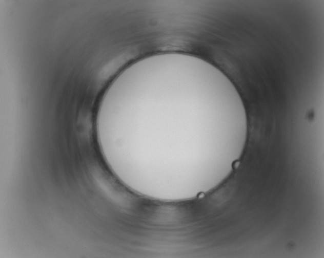 X0000113930298200910161858