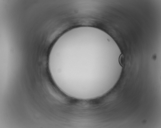 X0000113930299200910161858