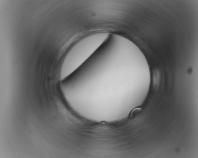 X0000113930300200910161858
