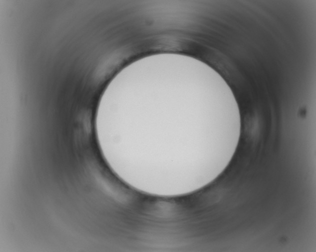 X0000113930302200910161858