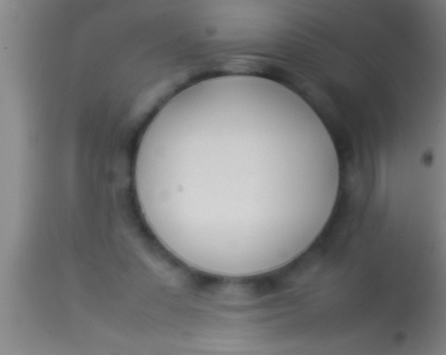 X0000113930303200910161858