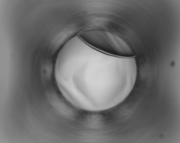 X0000113930304200910161858