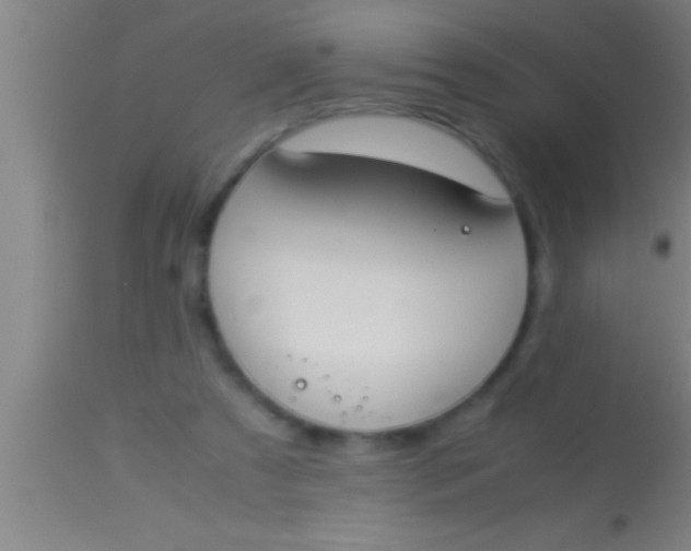 X0000113930305200910161858