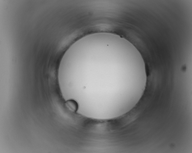 X0000113930306200910161858