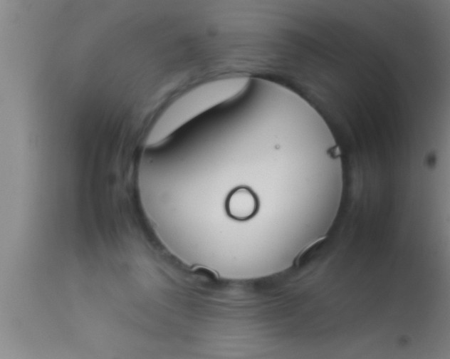 X0000113930308200910161858