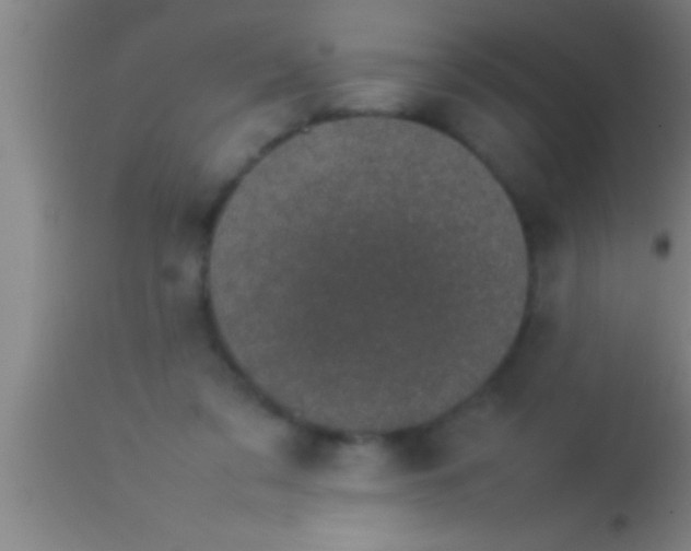 X0000113930309200910161858