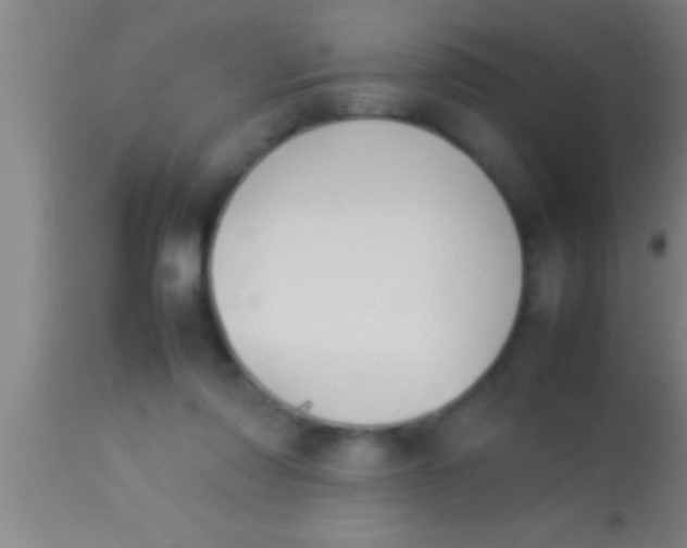 X0000113930310200910161858