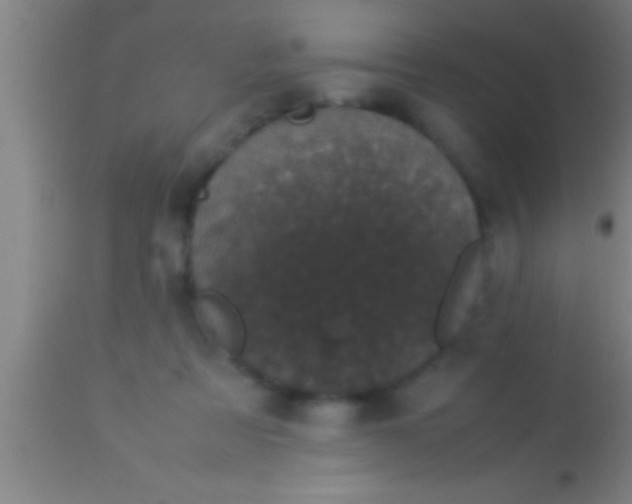 X0000113930313200910161857