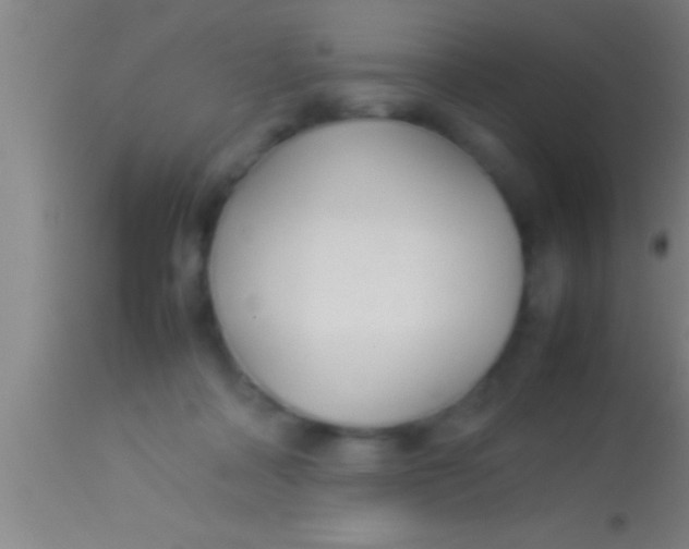 X0000113930314200910161857