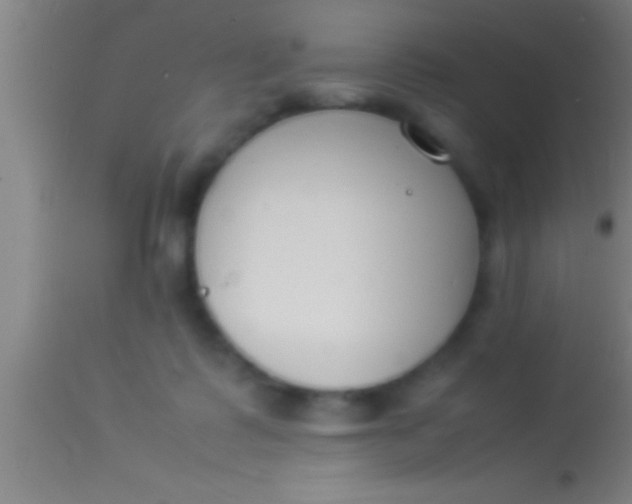 X0000113930315200910161857