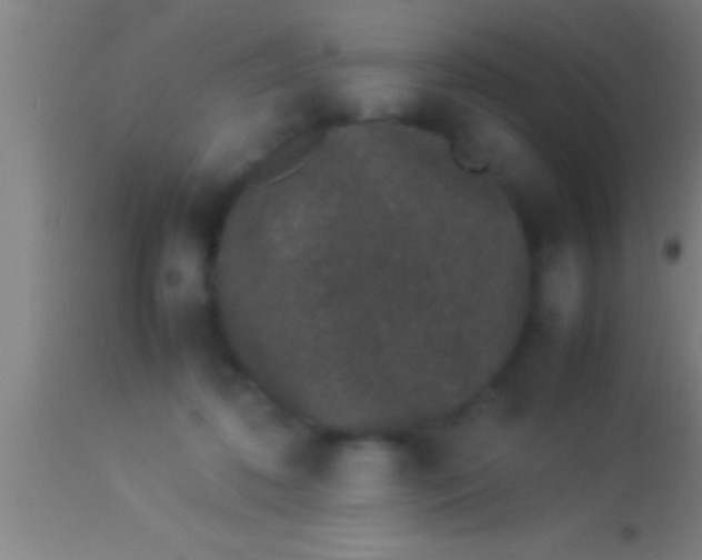 X0000113930316200910161857